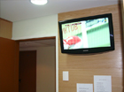 dentista: image 1 0f 16 Camelo